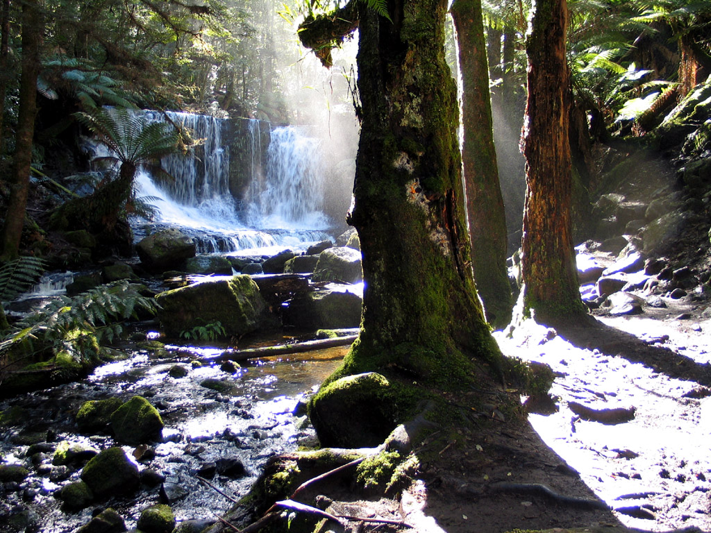 Mt Field Waterfall